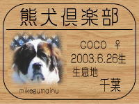 coco �ӂ�mama����̂a�k�n�f�ւf�n�I